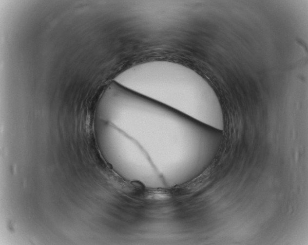 X0000099430610200805090728
