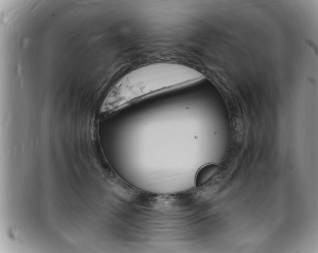 X0000099430612200805090728