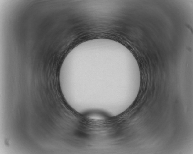 X0000099430613200805090728