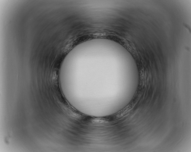 X0000099430614200805090728