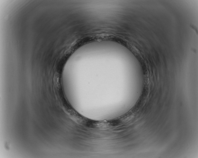 X0000099430615200805090728