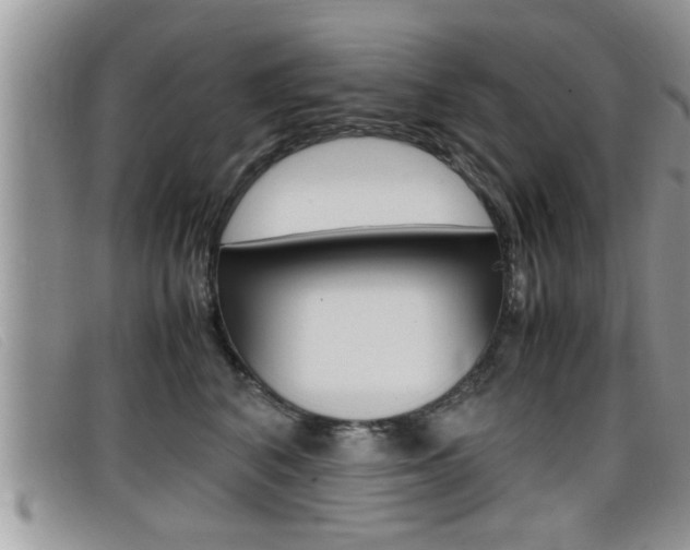 X0000099430616200805090728