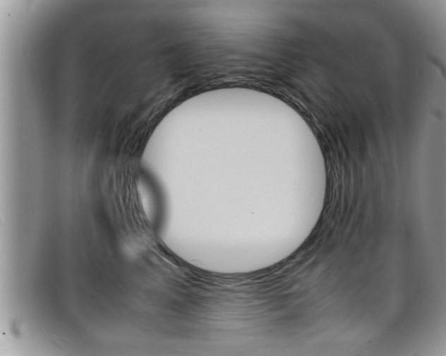 X0000099430617200805090728