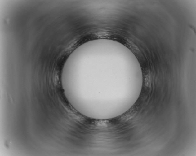 X0000099430618200805090728