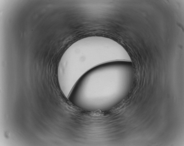 X0000099430619200805090728