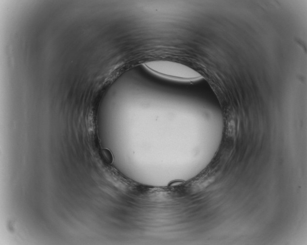 X0000099430620200805090728
