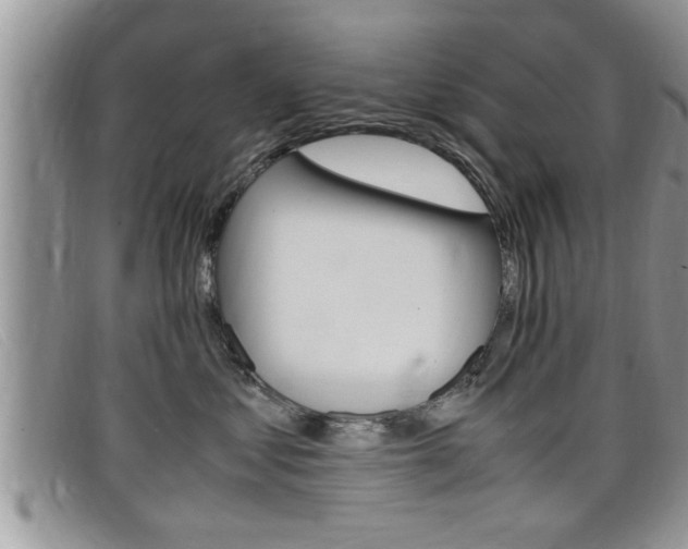 X0000099430621200805090728