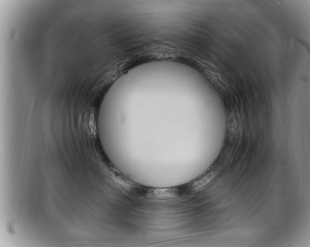 X0000099430622200805090728