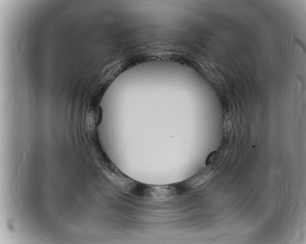 X0000099430623200805090728
