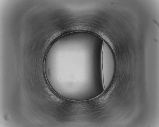 X0000099430625200805090727