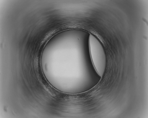 X0000099430626200805090727