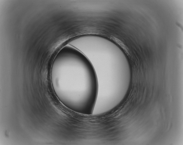 X0000099430627200805090727