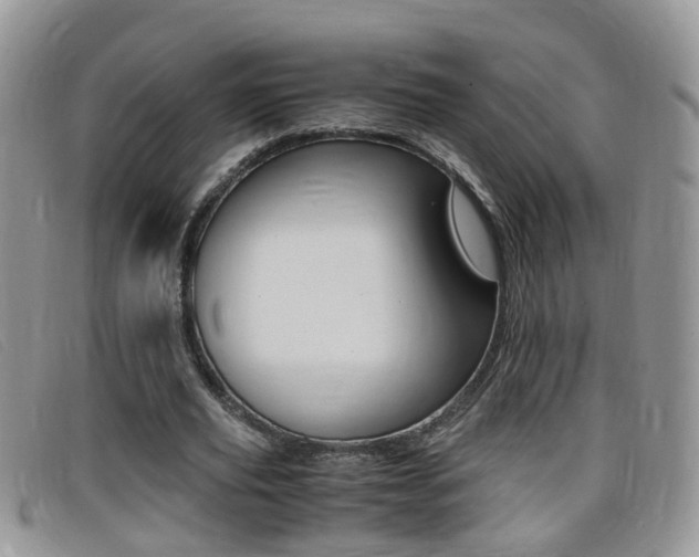 X0000099430629200805090727