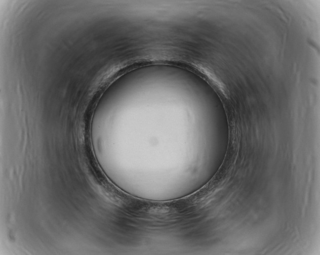 X0000099430631200805090727