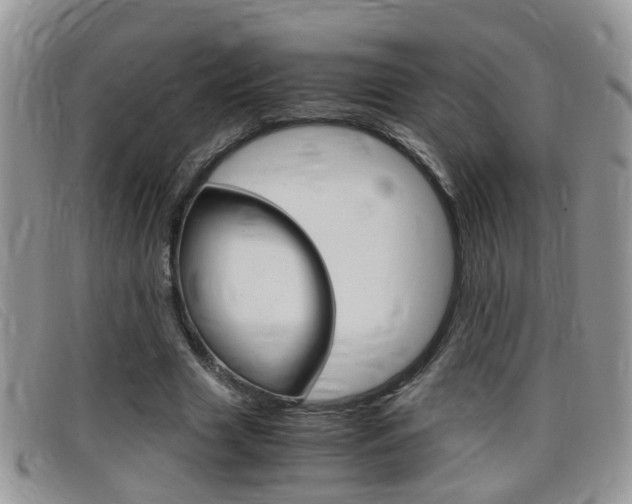 X0000099430633200805090727