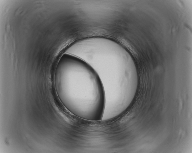 X0000099430634200805090727