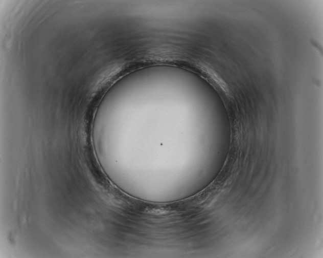X0000099430635200805090727