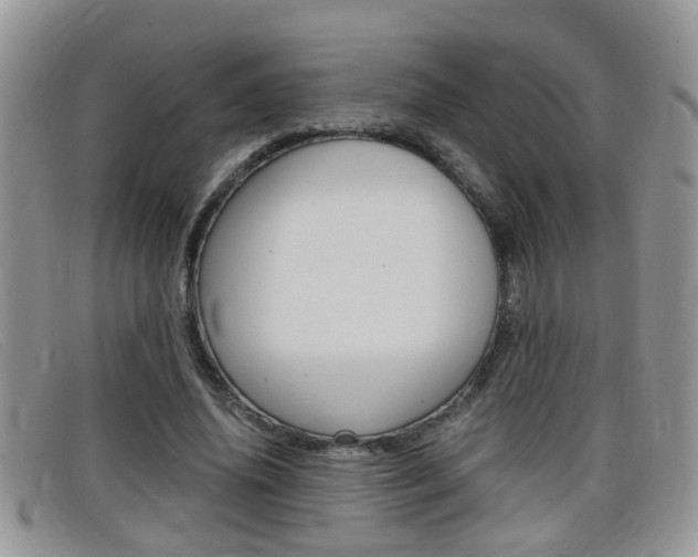 X0000099430636200805090727