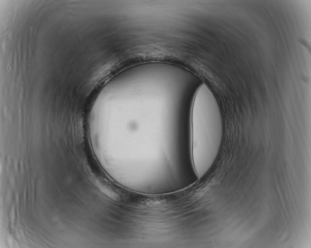 X0000099430638200805090727