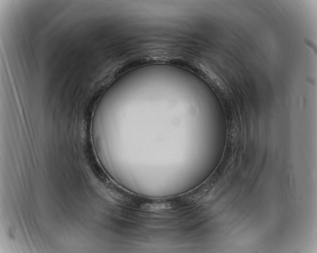 X0000099430639200805090727