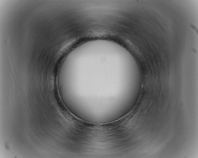X0000099430640200805090727