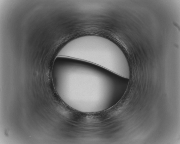 X0000099430641200805090727
