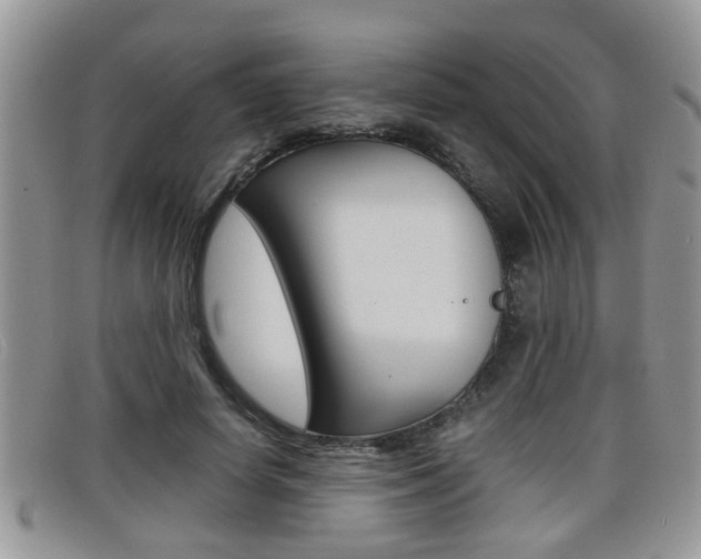 X0000099430642200805090727