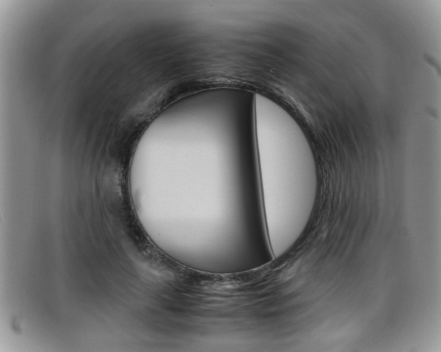 X0000099430643200805090727