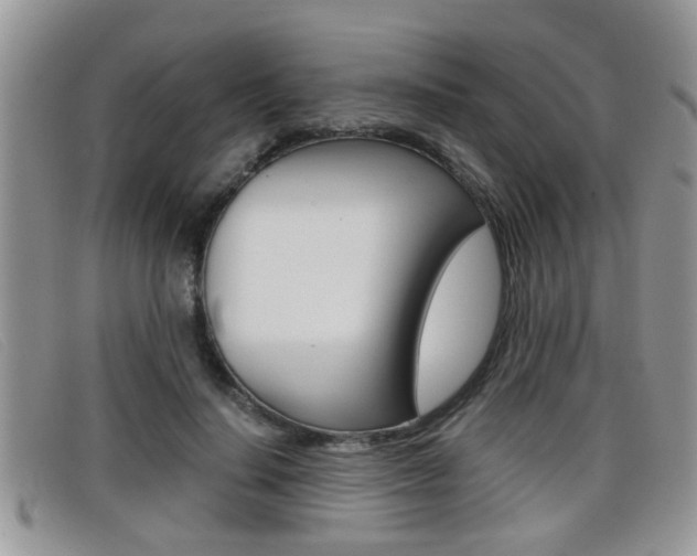 X0000099430644200805090727