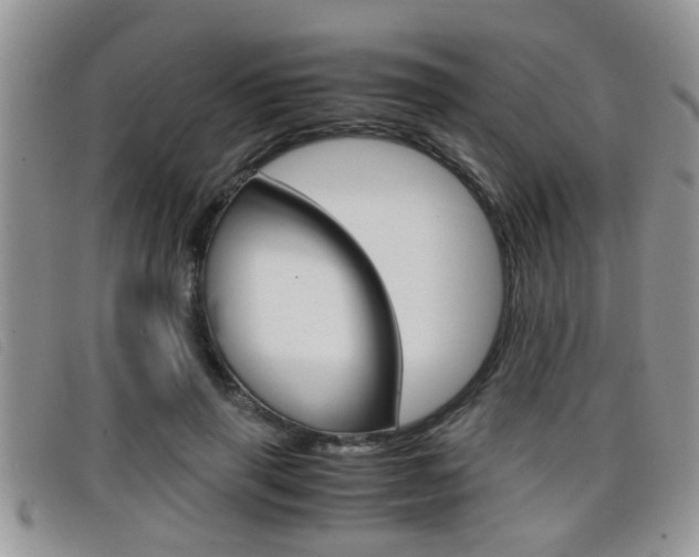 X0000099430645200805090727