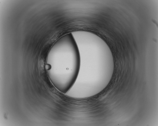 X0000099430646200805090727