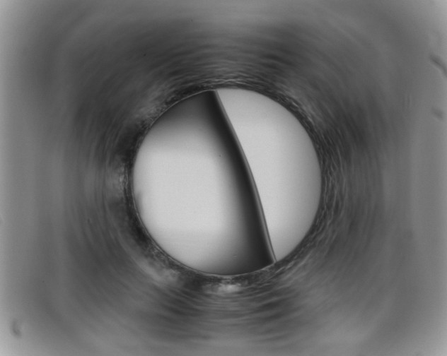X0000099430647200805090727