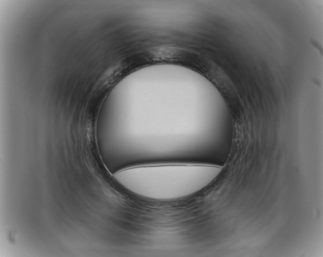 X0000099430648200805090727
