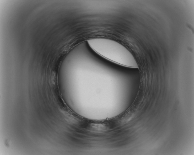 X0000099430649200805090727