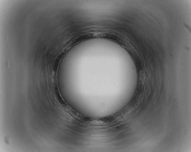 X0000099430650200805090727