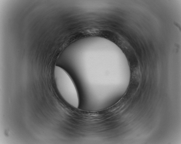 X0000099430651200805090728