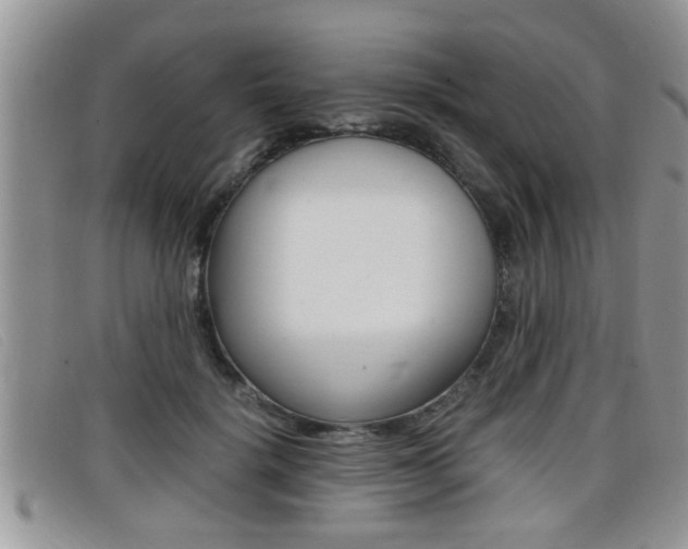 X0000099430652200805090728