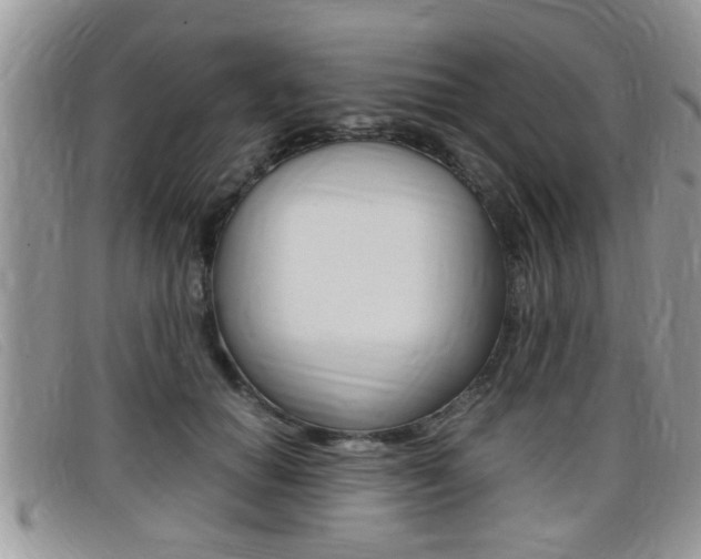 X0000099430654200805090728
