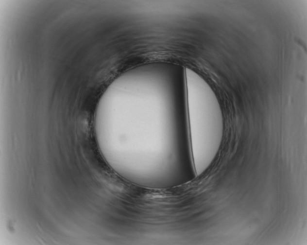 X0000099430655200805090728