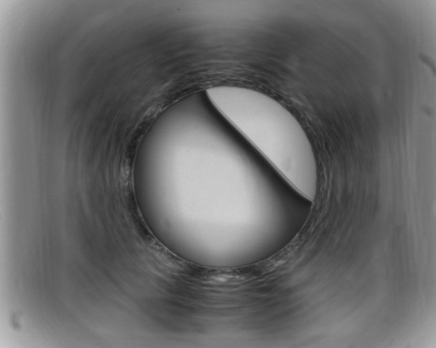 X0000099430657200805090728
