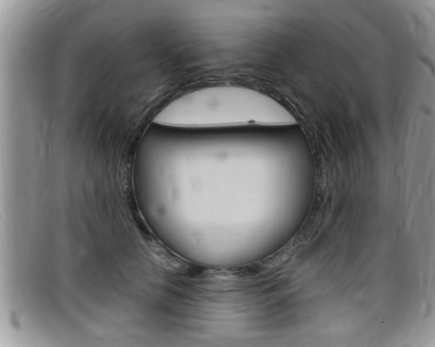 X0000099430658200805090728