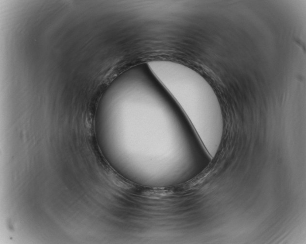 X0000099430661200805090728