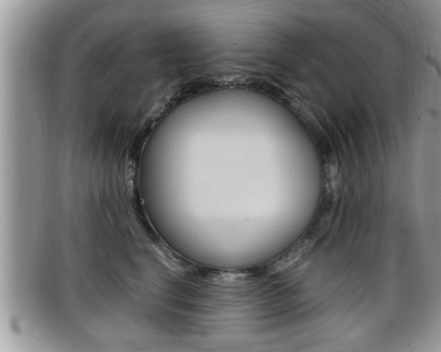 X0000099430664200805090728