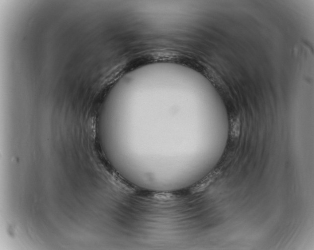X0000099430666200805090728