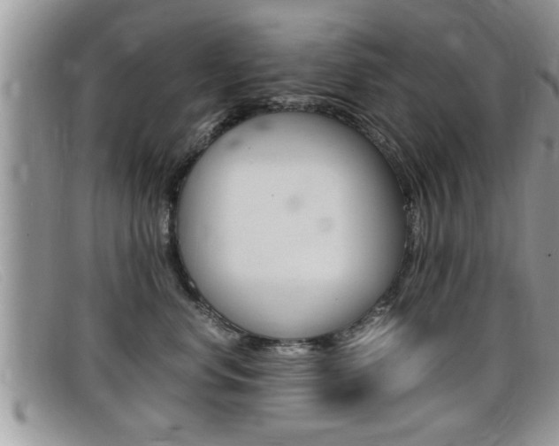 X0000099430668200805090728