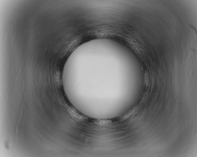 X0000099430670200805090728