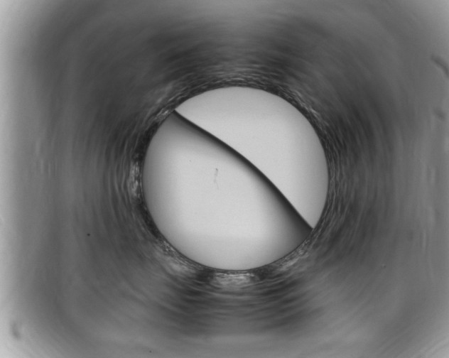 X0000099430671200805090728
