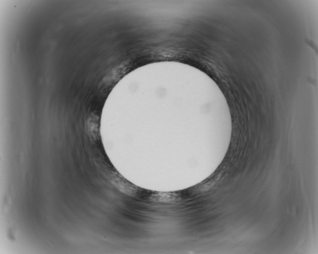 X0000099430672200805090728