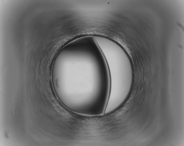 X0000099430673200805090727