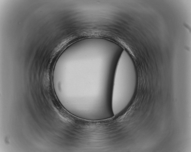 X0000099430674200805090727